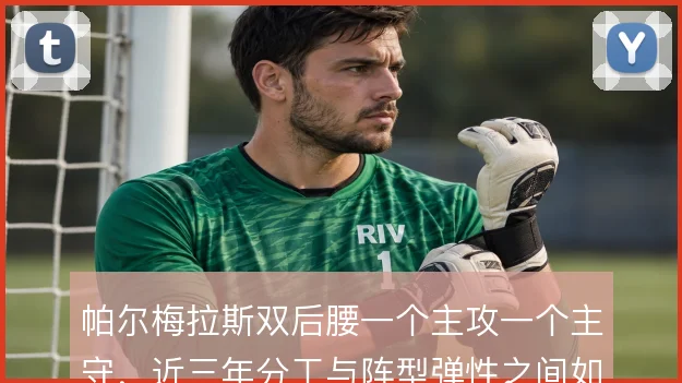 帕尔梅拉斯双后腰一个主攻一个主守，近三年分工与阵型弹性之间如何取舍